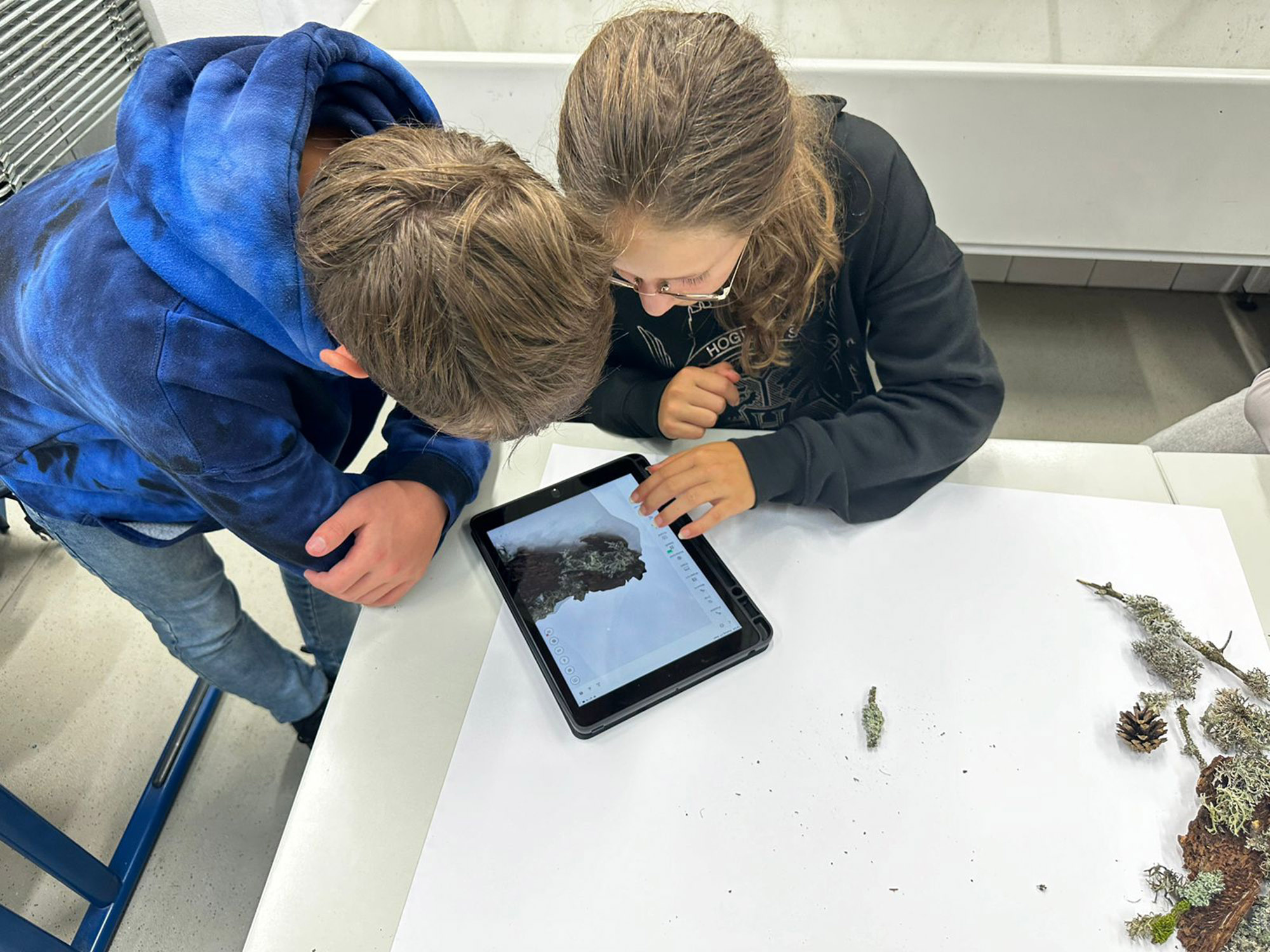 DU_Kinematic-der-Flechten_05